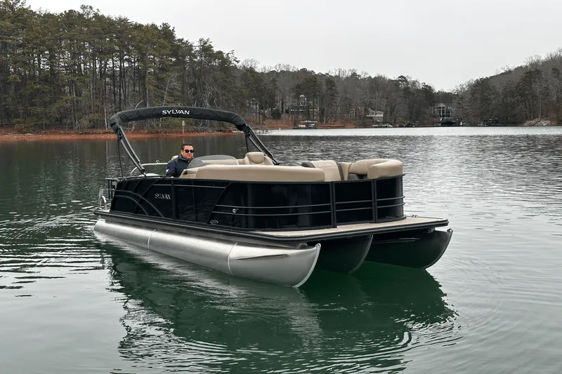 Slide: The Image of Sylvan MIRAGE 822 2025 - 2