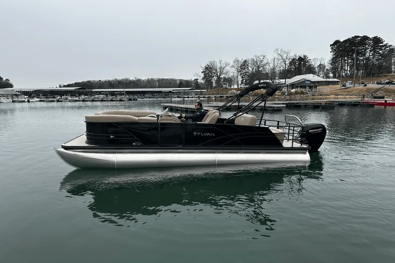 Slide: The Image of Sylvan MIRAGE 822 2025 - 3