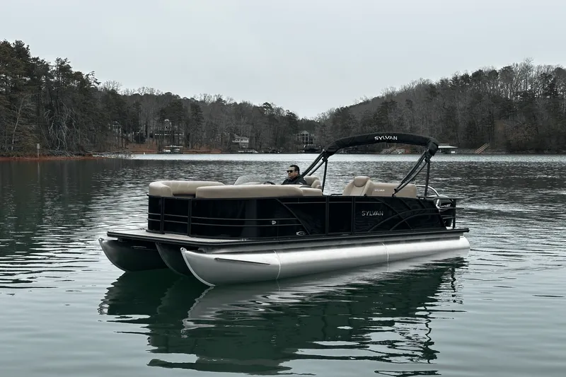 Slide: The Image of Sylvan MIRAGE 822 2025 - 4