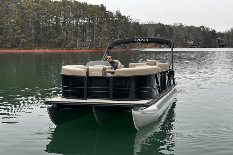 Slide: The Image of Sylvan MIRAGE 822 2025 - 6