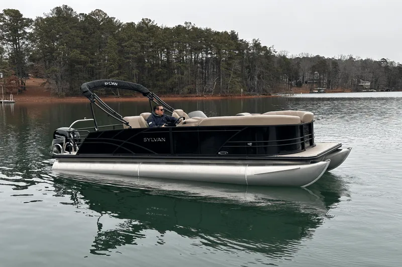 Slide: The Image of Sylvan MIRAGE 822 2025 - 8