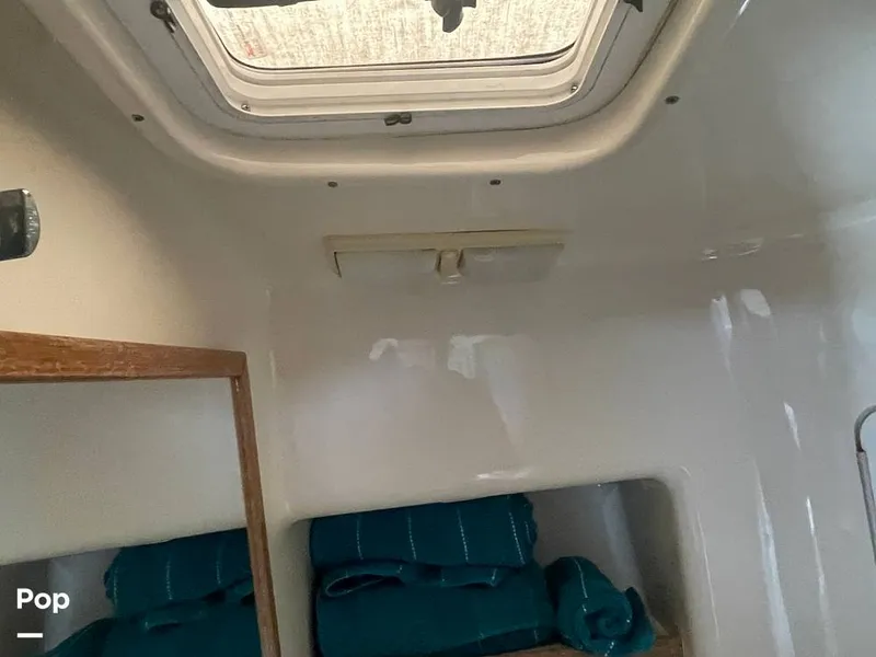 Slide: The Image of Head - 13390051