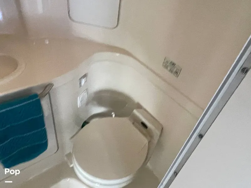 Slide: The Image of Head - 13390058