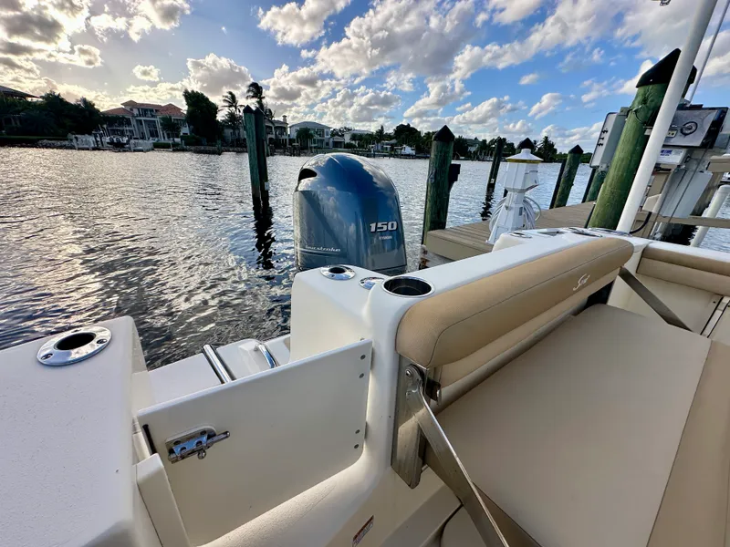 Slide: The Image of Scout 215 XSF 2020 - 19