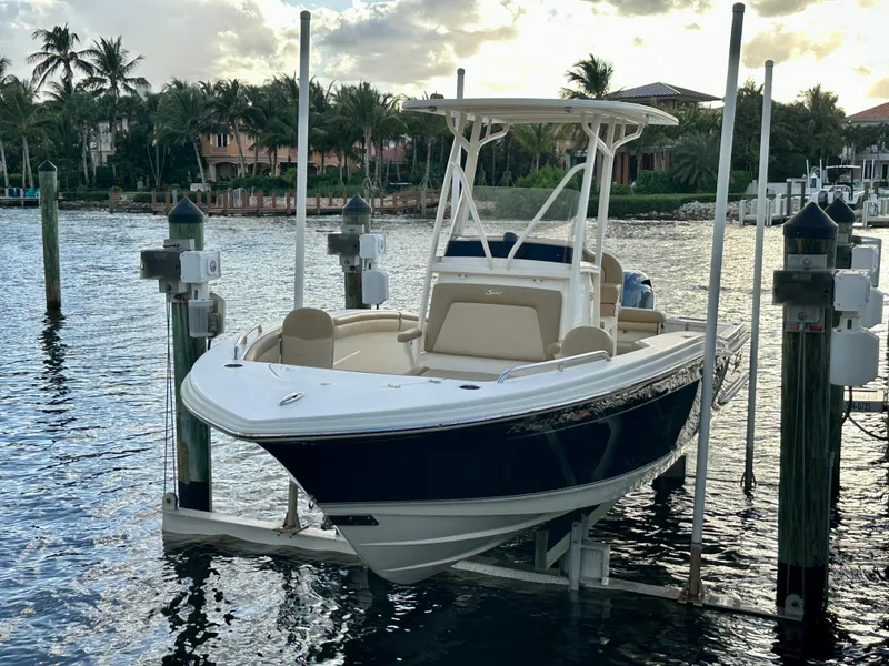 Slide: The Image of Scout 215 XSF 2020 - 2