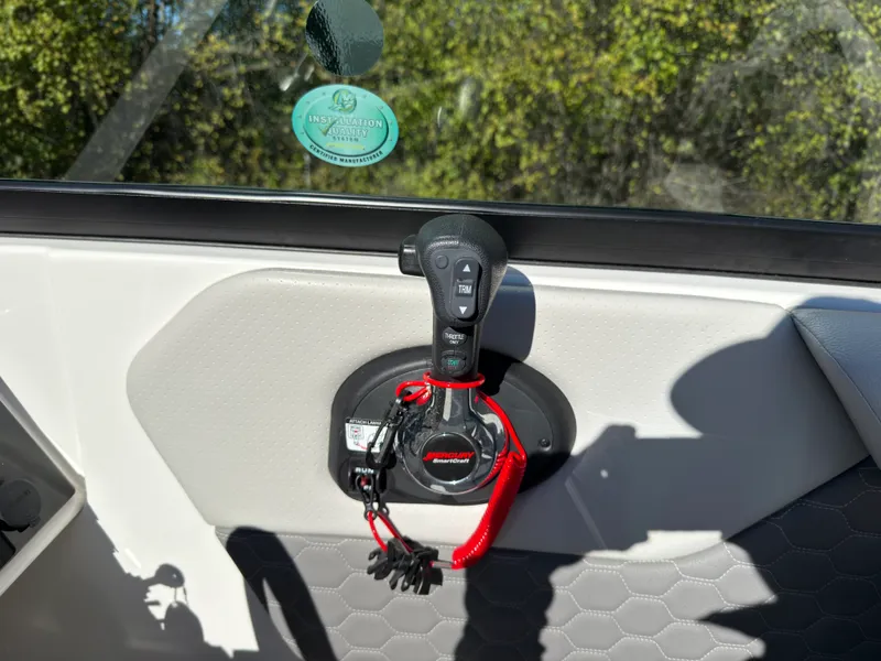 Slide: The Image of Sea Ray 250 SDX 2022 - 30