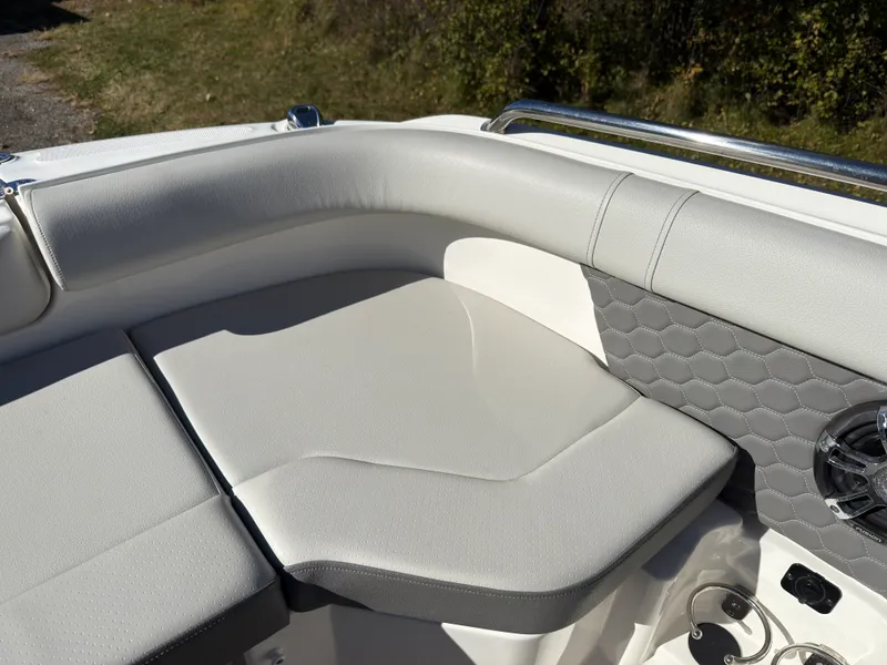 Slide: The Image of Sea Ray 250 SDX 2022 - 41