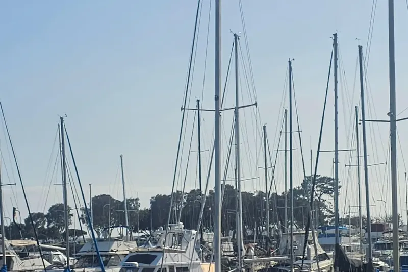 Slide: The Image of Catalina 30 MkII 1987 - 6