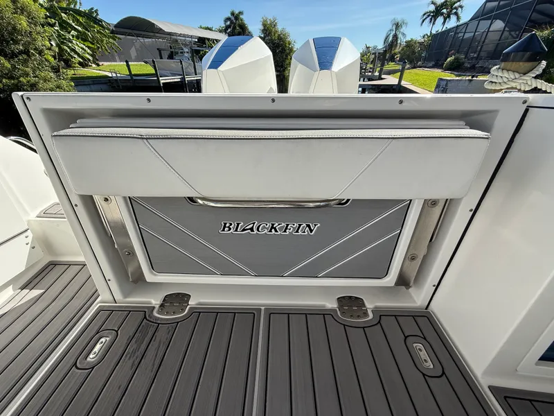 Slide: The Image of Blackfin 272 DC 2019 - 14