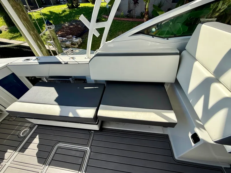 Slide: The Image of Blackfin 272 DC 2019 - 21