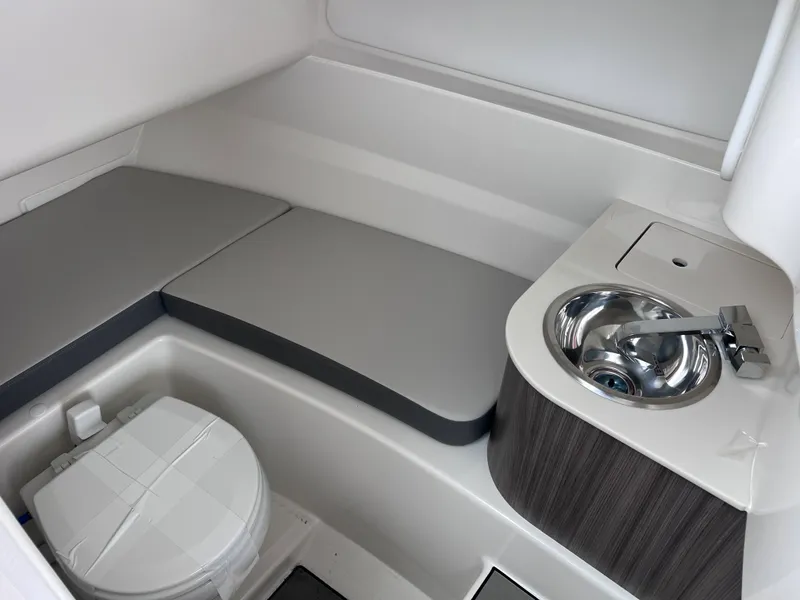 Slide: The Image of Sea Ray SDX 250 Outboard 2026 - 21