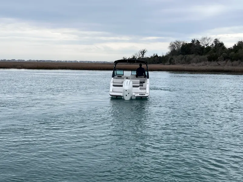 Slide: The Image of Sea Ray SDX 250 Outboard 2026 - 5