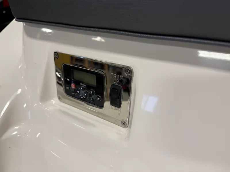 Slide: The Image of Chaparral 246 2019 - 13