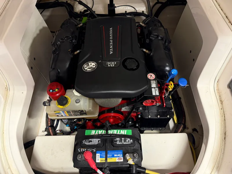 Slide: The Image of Chaparral 246 2019 - 69