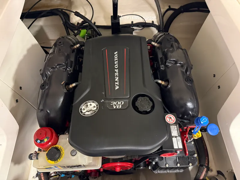 Slide: The Image of Chaparral 246 2019 - 70