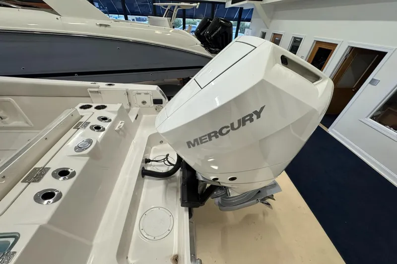 Slide: The Image of Sailfish 252 CC 2026 - 3