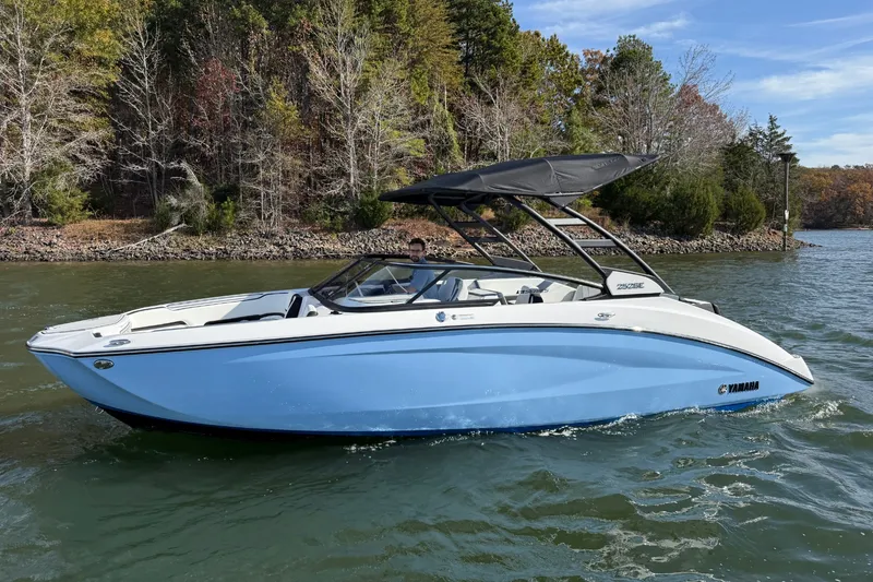 The Image of Yamaha 252SE 2026 - 0