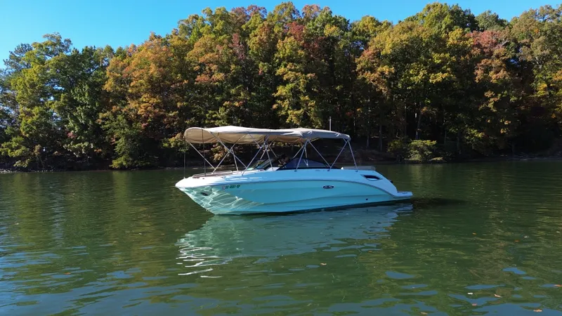 Slide: The Image of Sea Ray 250 SDX 2021 - 10