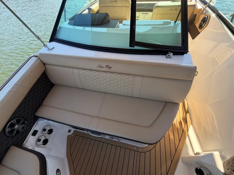 Slide: The Image of Sea Ray 250 SDX 2021 - 16