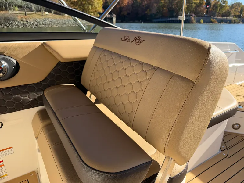 Slide: The Image of Sea Ray 250 SDX 2021 - 19