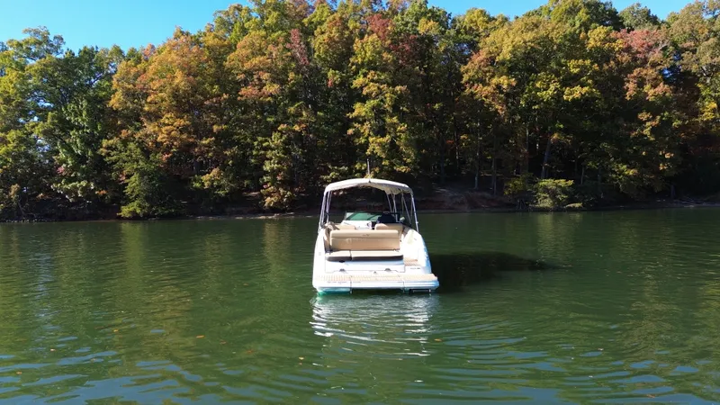 Slide: The Image of Sea Ray 250 SDX 2021 - 3