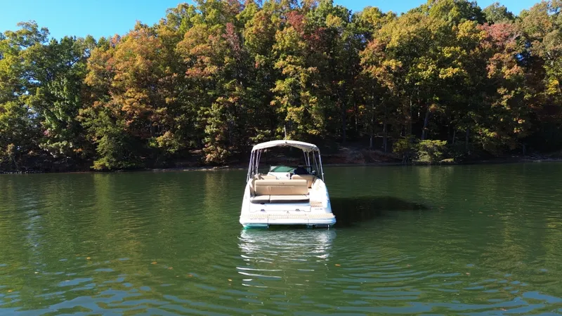 Slide: The Image of Sea Ray 250 SDX 2021 - 4