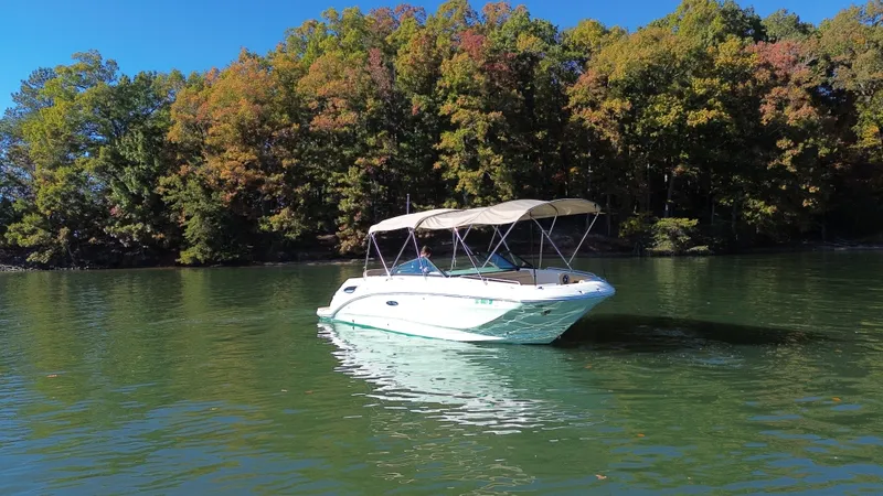 Slide: The Image of Sea Ray 250 SDX 2021 - 6