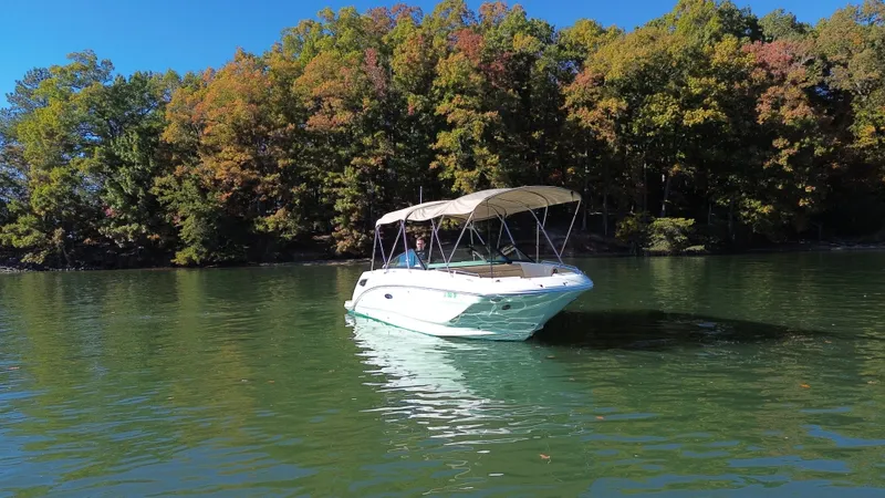 Slide: The Image of Sea Ray 250 SDX 2021 - 7