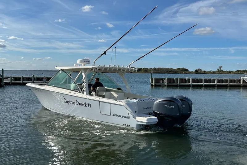 Slide: The Image of Sailfish 316 DC 2023 - 10