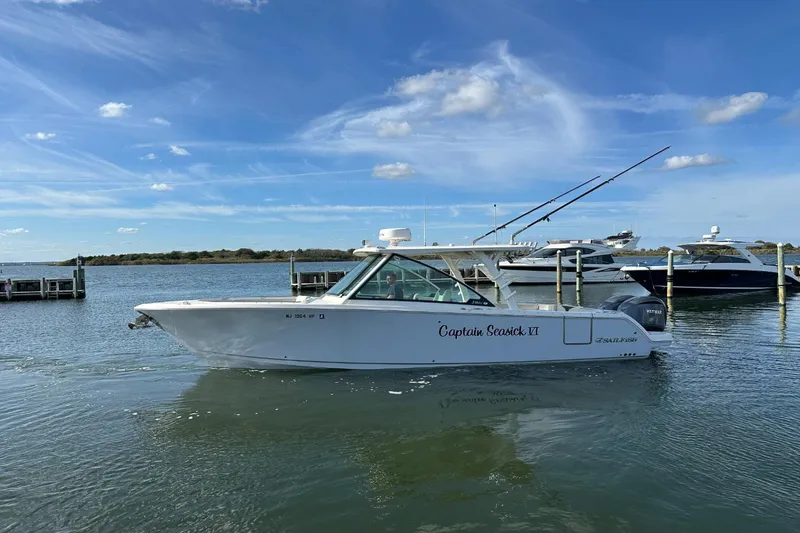 Slide: The Image of Sailfish 316 DC 2023 - 2