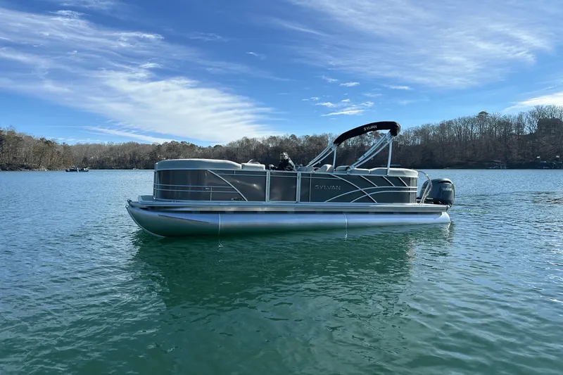 The Image of Sylvan MIRAGE 822 2025 - 0