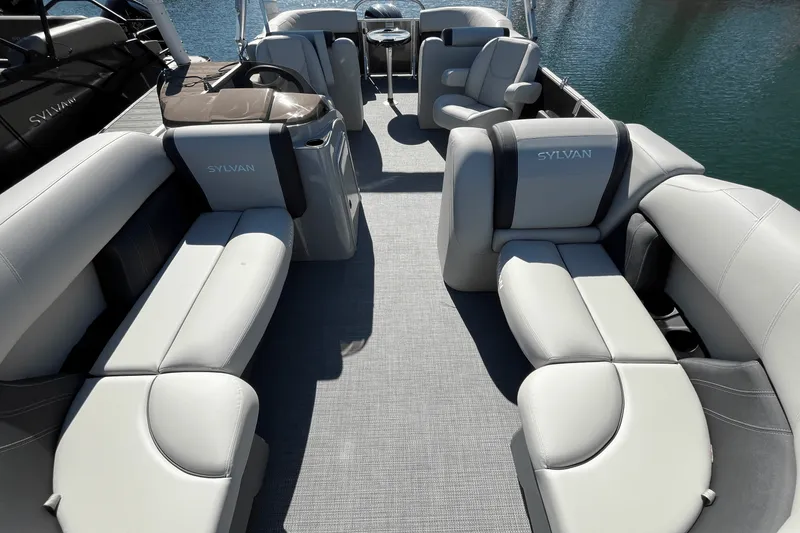 Slide: The Image of Sylvan MIRAGE 822 2025 - 14