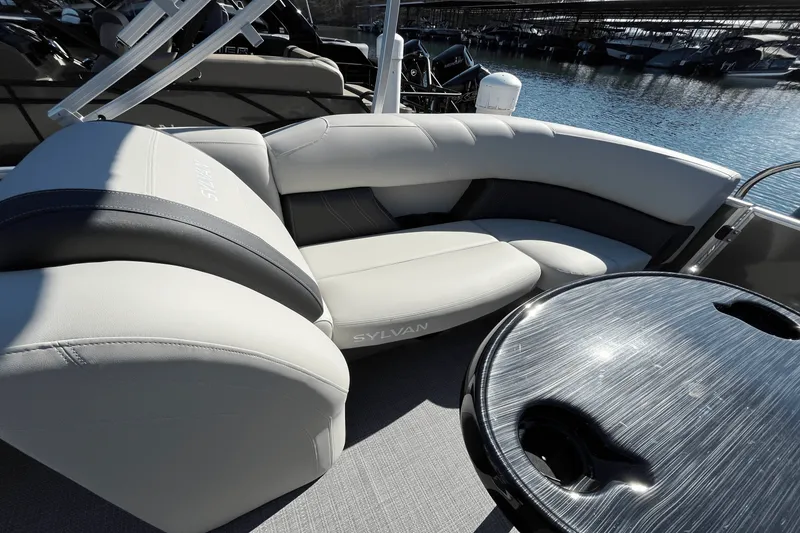 Slide: The Image of Sylvan MIRAGE 822 2025 - 18