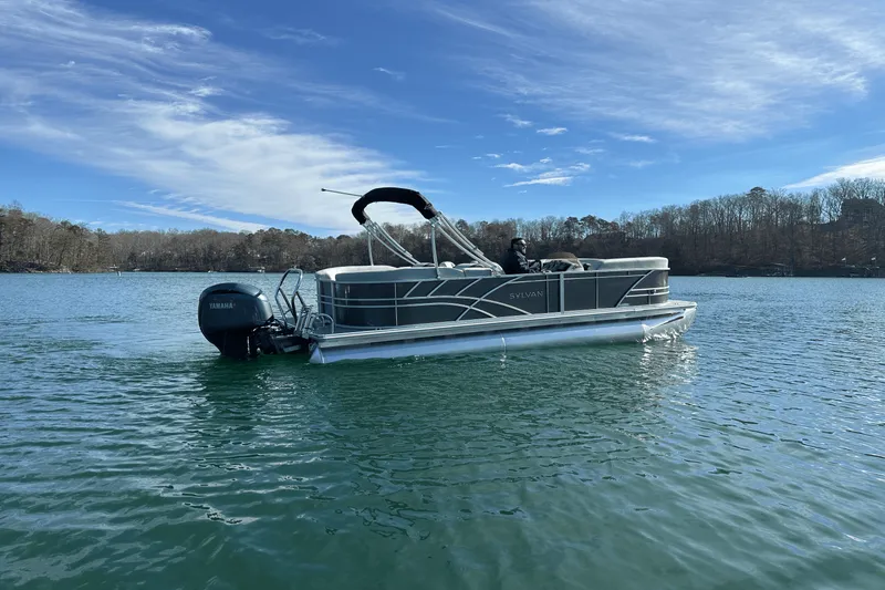 Slide: The Image of Sylvan MIRAGE 822 2025 - 5