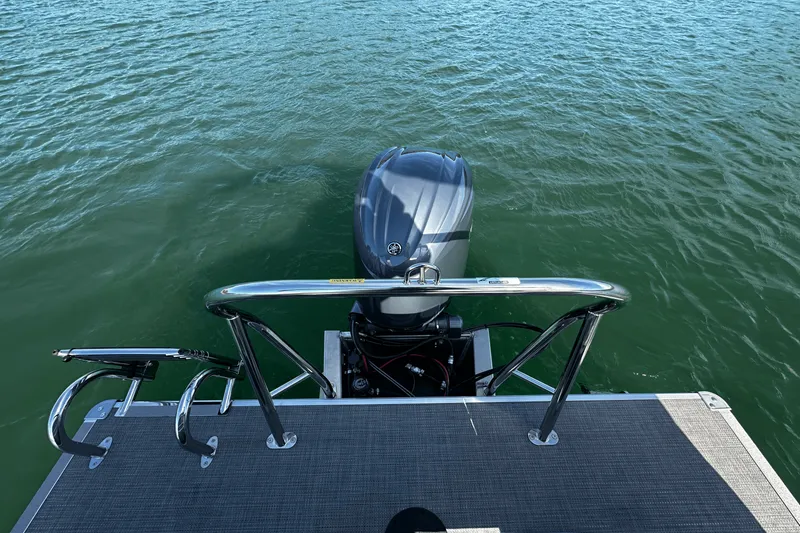 Slide: The Image of Sylvan MIRAGE 822 2025 - 6