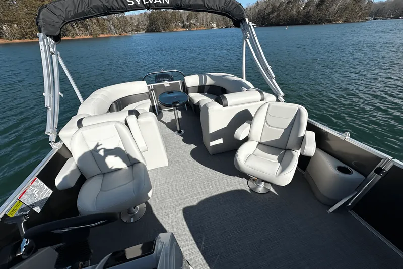 Slide: The Image of Sylvan MIRAGE 822 2025 - 9