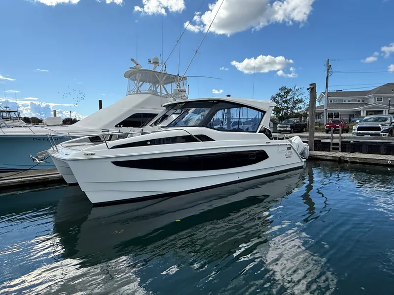 The Image of Aquila 36 2021 - 0