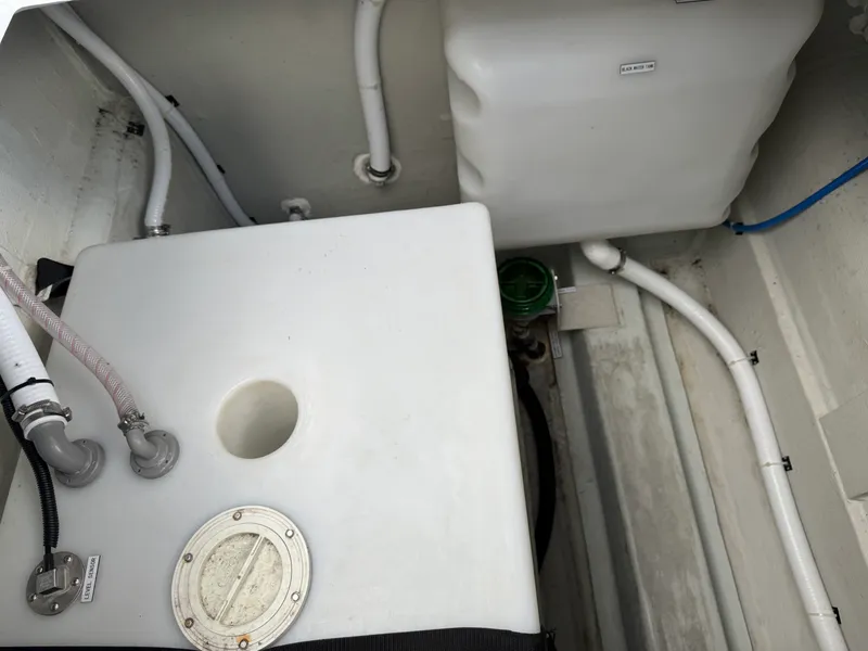 Slide: The Image of Aquila 36 2021 - 25