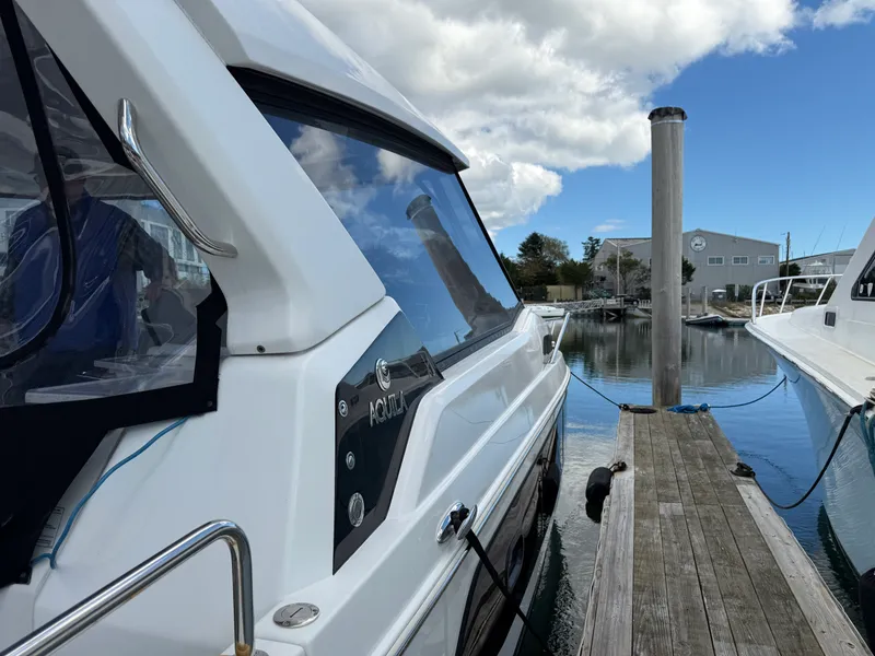 Slide: The Image of Aquila 36 2021 - 3