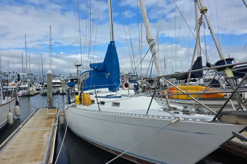 The Image of Stevens 40" 1982 - 0