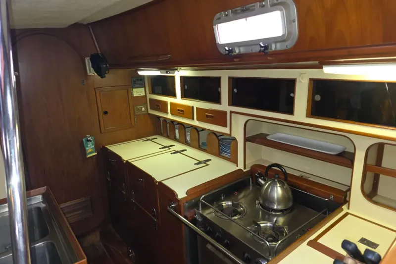 Slide: The Image of Stevens 40" 1982 - 12