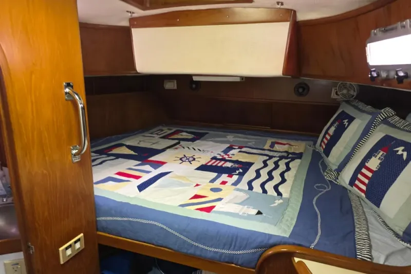 Slide: The Image of Stevens 40" 1982 - 17