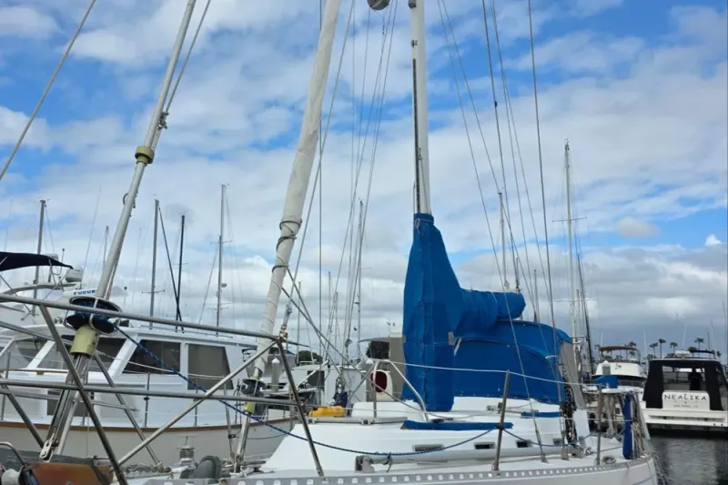 Slide: The Image of Stevens 40" 1982 - 2