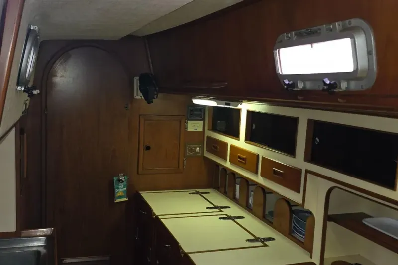 Slide: The Image of Stevens 40" 1982 - 22