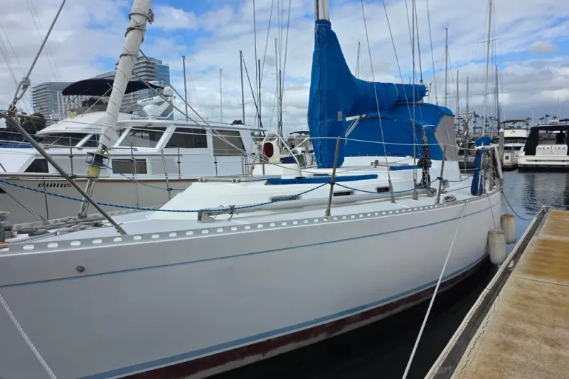 Slide: The Image of Stevens 40" 1982 - 3