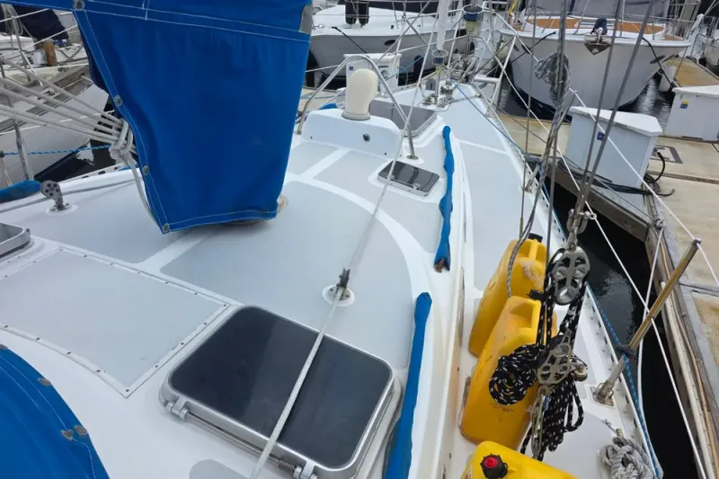 Slide: The Image of Stevens 40" 1982 - 31