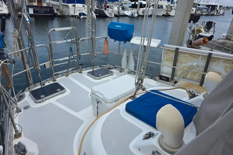 Slide: The Image of Stevens 40" 1982 - 34