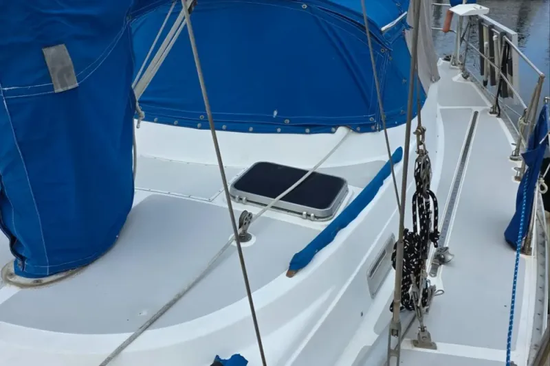 Slide: The Image of Stevens 40" 1982 - 37