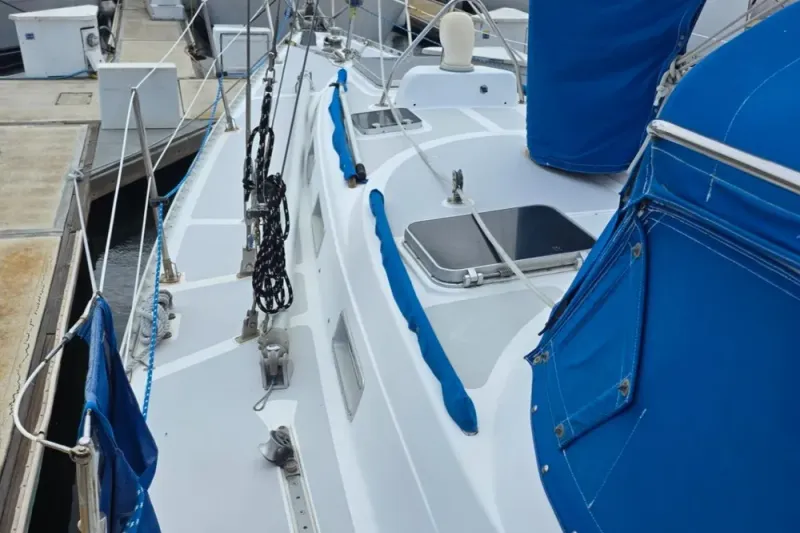 Slide: The Image of Stevens 40" 1982 - 38