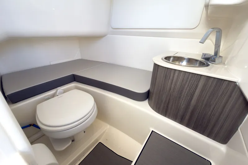 Slide: The Image of Sea Ray SDX 270 Outboard 2026 - 15